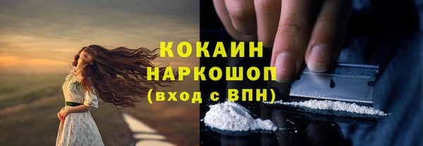 твердый Алексеевка